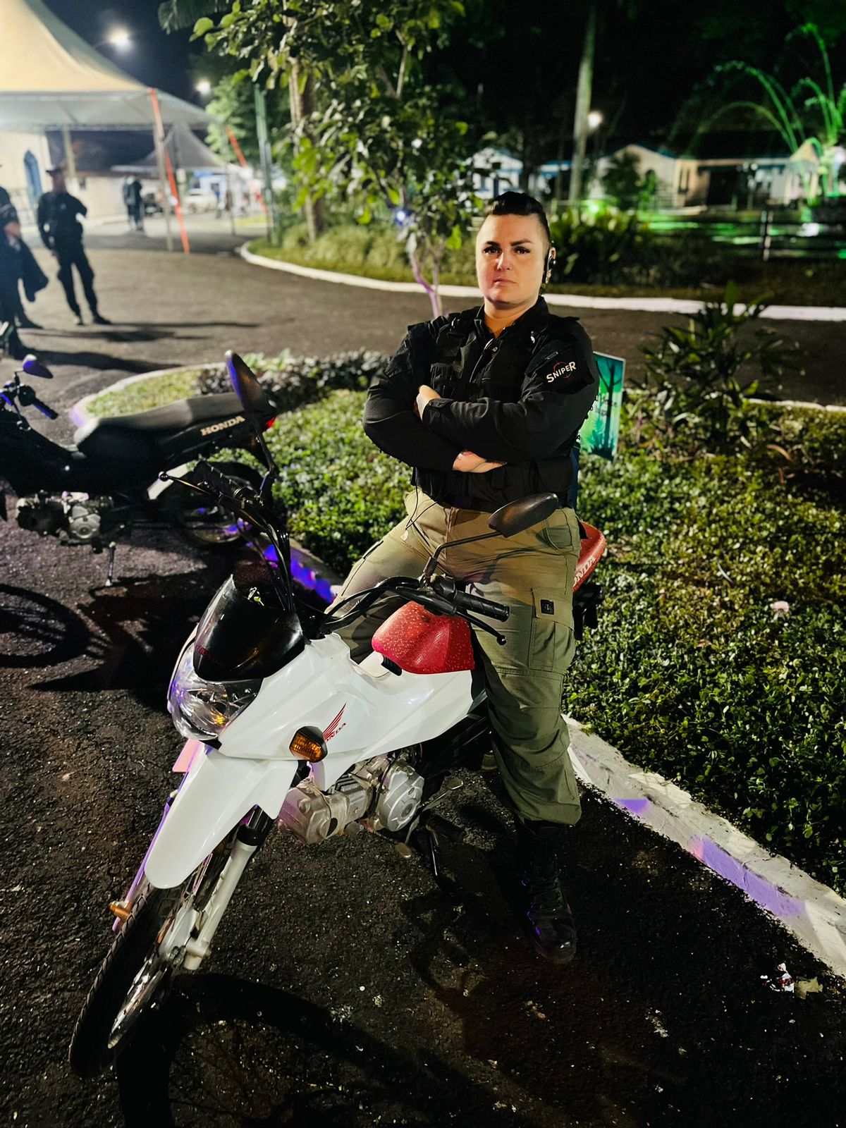 Grandes Festivais & Shows