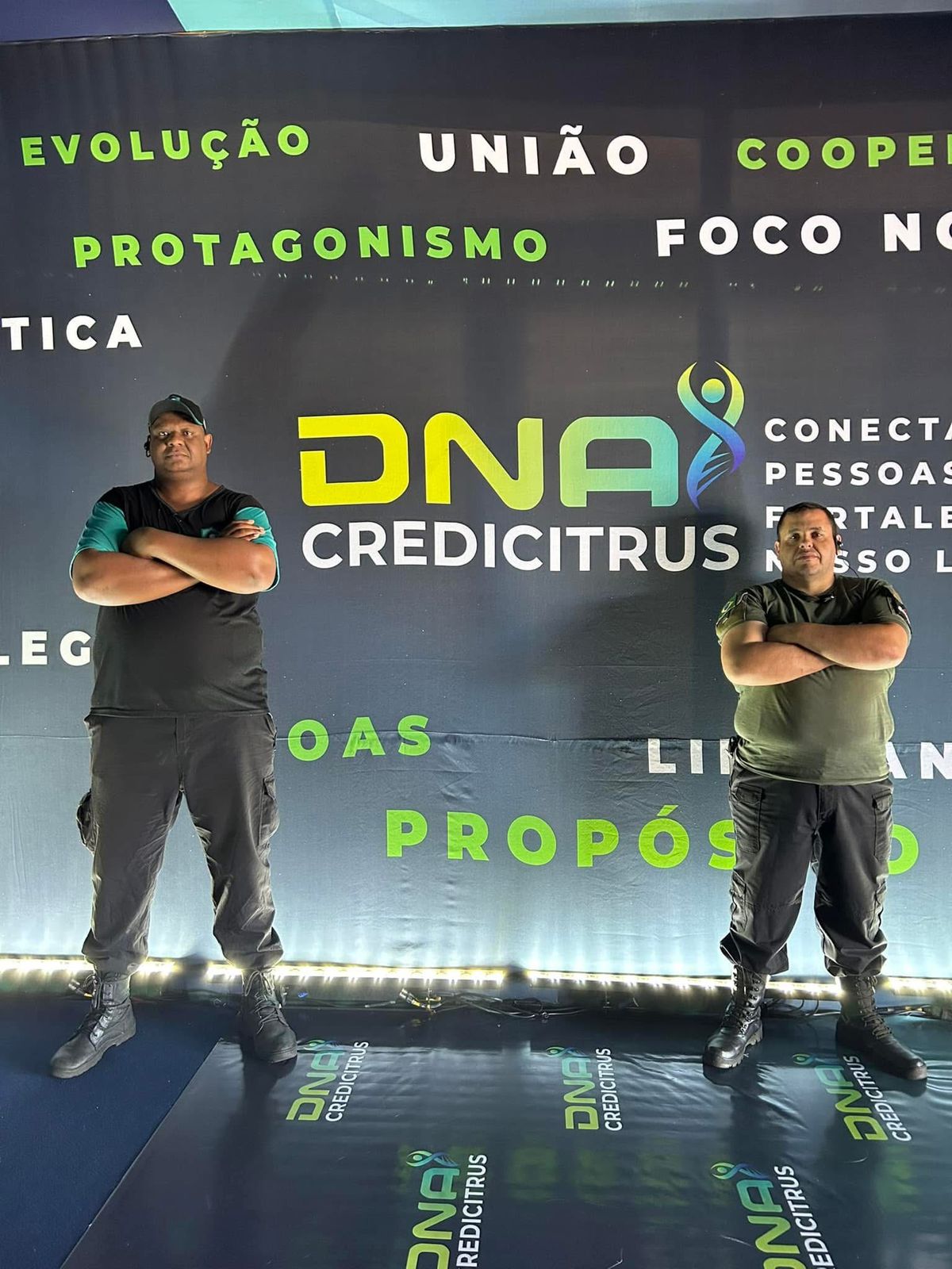 Grandes Festivais & Shows